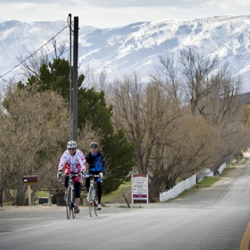 Winter Road Biking - Diehards Only