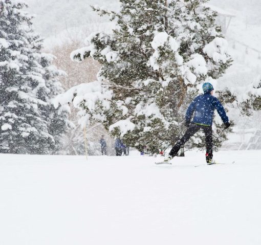 Seize the day, classic style