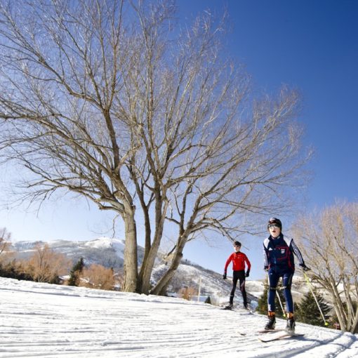 Cross country skiiers glide over the snow past leafless trees and blue sky