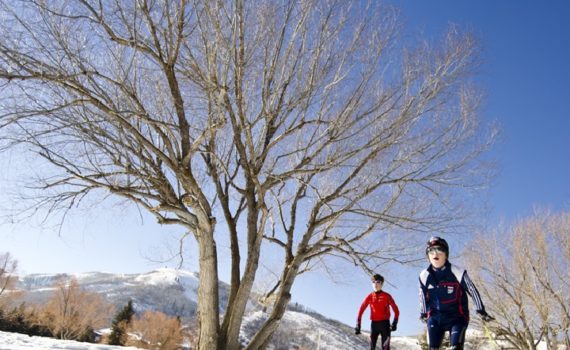 Cross country skiiers glide over the snow past leafless trees and blue sky