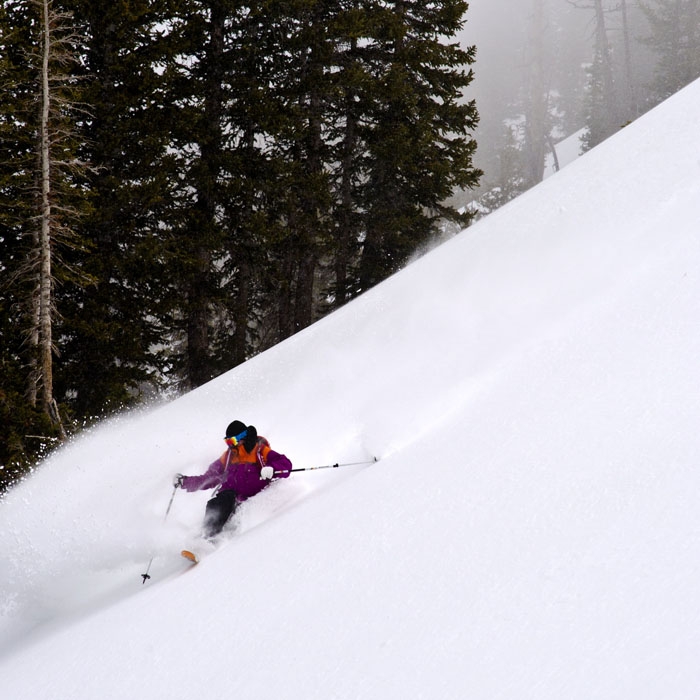 backcountry skier in powder
