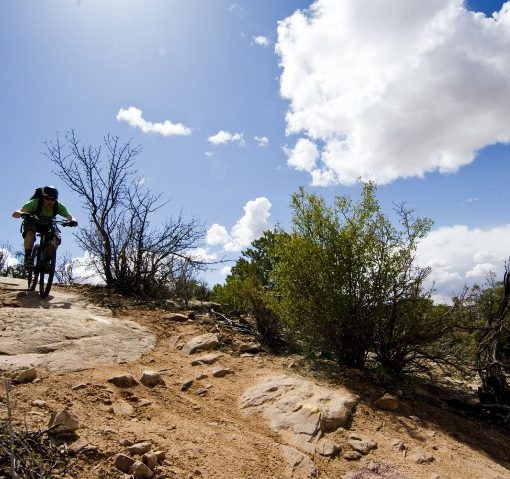 blue sky and puffy white clouds above a mountain biker riding down some slickrock