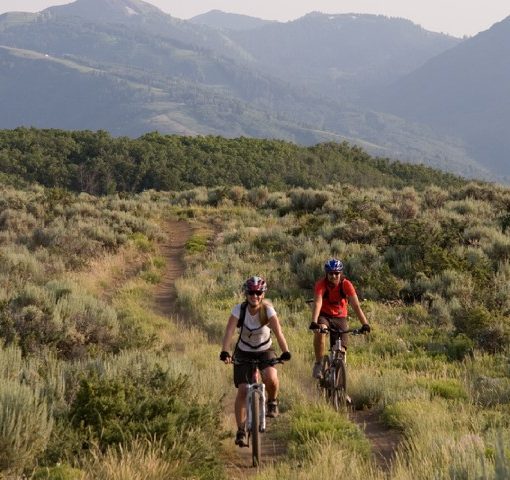 two mountain bikers smile as they ride along a mellow double track trail