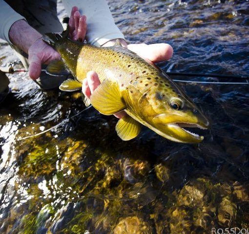 Fly Fishing the Indian Lands - On the South Slope of the Uintas