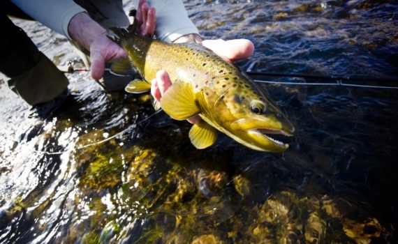 Fly Fishing the Indian Lands - On the South Slope of the Uintas