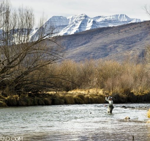 Why Fly Fishing is My Religion