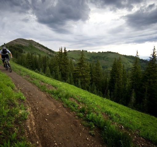 How to Choose a Bike - Road or Mountain Bike Jans Has You Covered