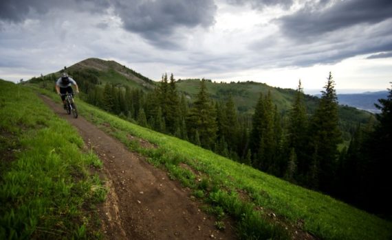 How to Choose a Bike - Road or Mountain Bike Jans Has You Covered