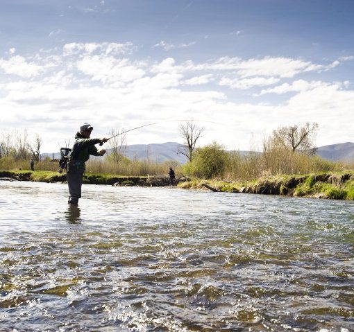 Fly Fishing Tips