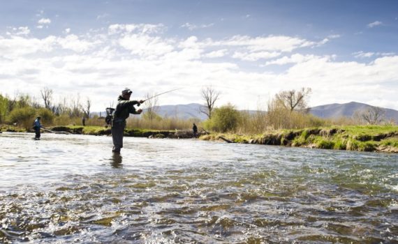 Fly Fishing Tips