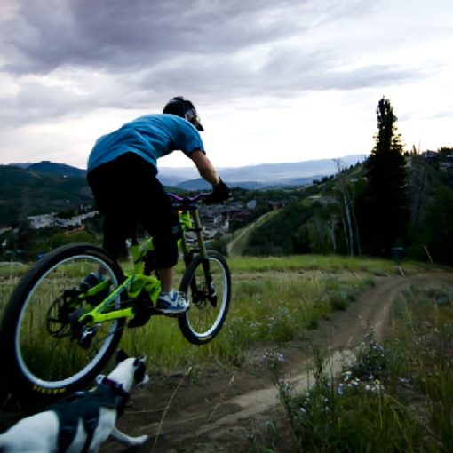 Best Mountain Bike Shoes - Recommendations from the Experts at Jans