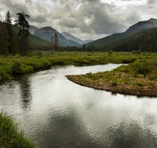 A Trespassing Fly Fisherman