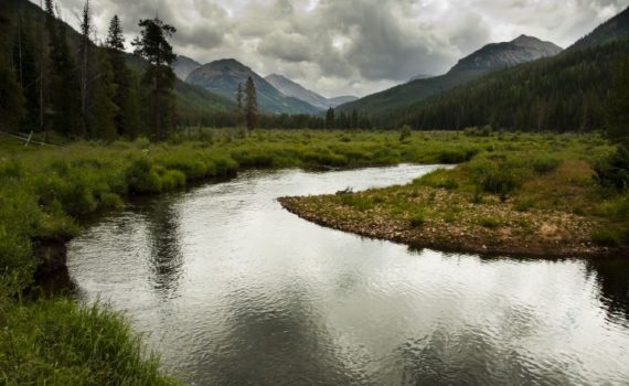 A Trespassing Fly Fisherman