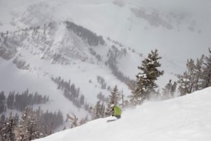 What Makes Jans Different? - blog.jans.com