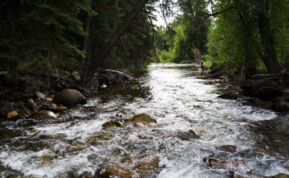 Fly Fishing During Hopper Season - A Lesson in Telling the Truth