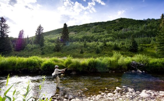 Fly Rods and Bears Don't Mix