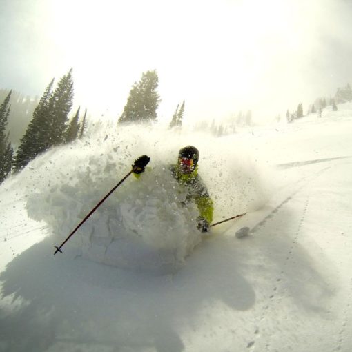 skier bursts through a loud of powder toward the camera, sunshine provides backlight, pine trees provide backdrop