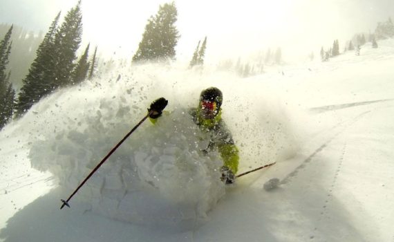 skier bursts through a loud of powder toward the camera, sunshine provides backlight, pine trees provide backdrop