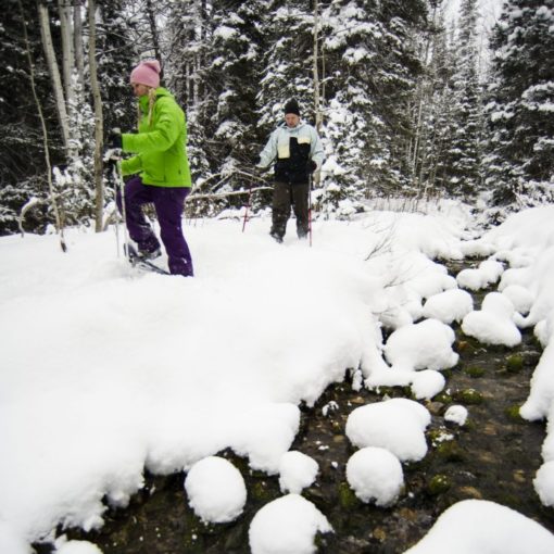 Snowshoeing Tips for Beginners