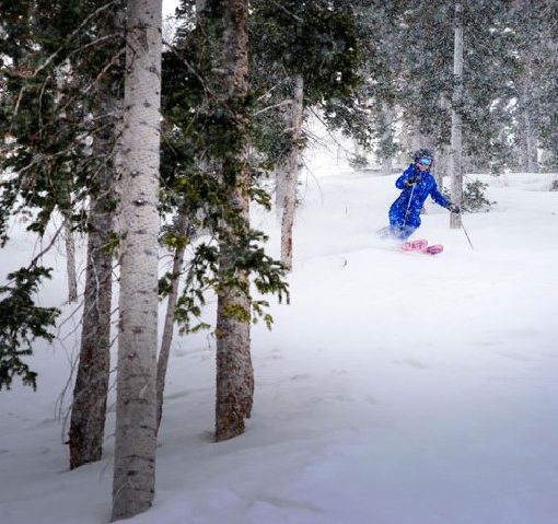 skier turning through the trees as more snow falls on a powder day