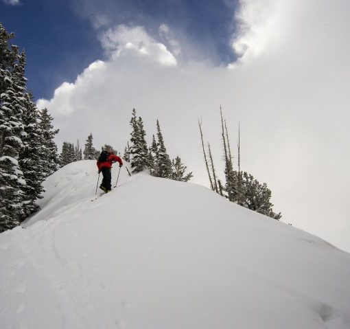 What are Skins for Skiing