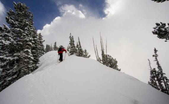 What are Skins for Skiing