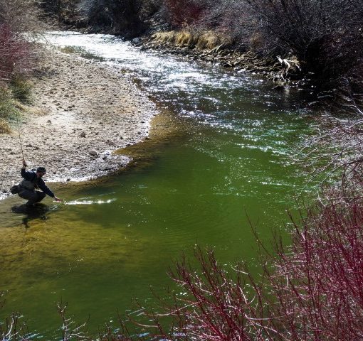 Where to Fly Fish in Park City in the Spring