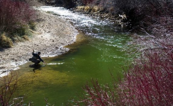 Where to Fly Fish in Park City in the Spring
