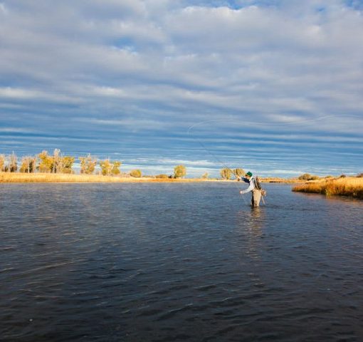 THE GOLDEN RULES OF FLY FISHING
