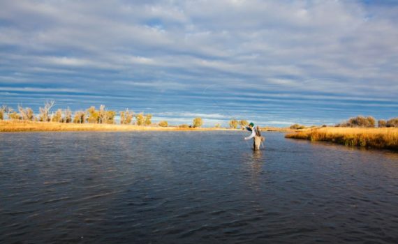 THE GOLDEN RULES OF FLY FISHING