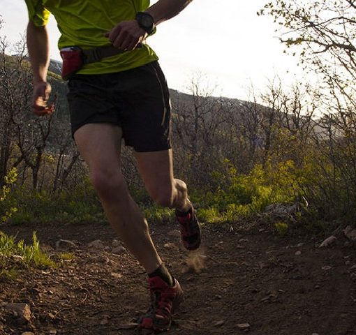 Trail Running Tips for Beginners