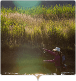 Fly-Fishing in Local Waters with Jans.com