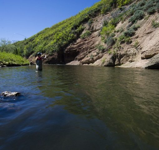 Guided Fly Fishing Tours For Beginners With Jans in Park City