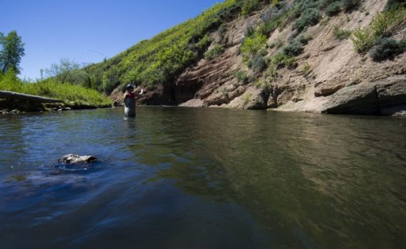 Guided Fly Fishing Tours For Beginners With Jans in Park City