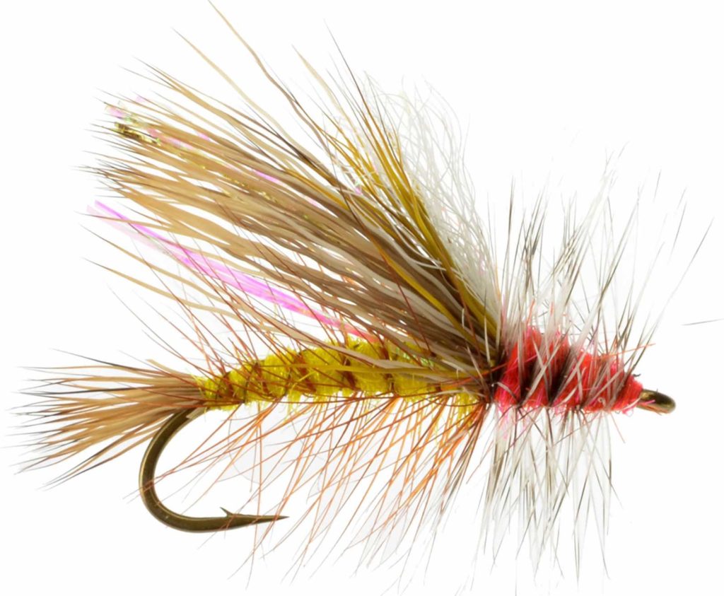 Best Trout Flies for Early Summer