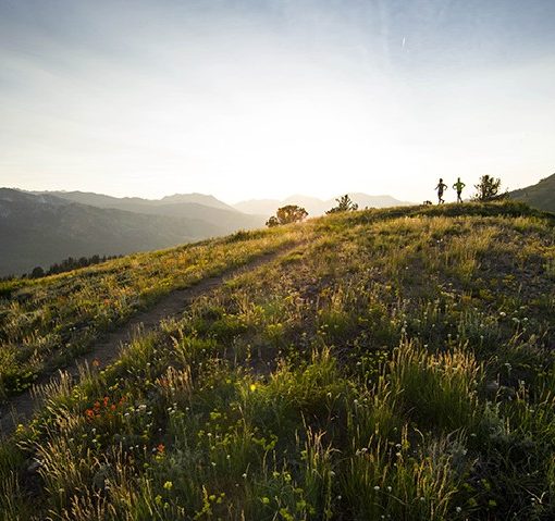 How To Recover After A Running Race
