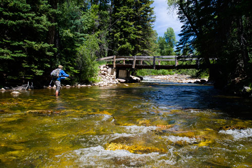 A fly fisherman fishes near a bridge