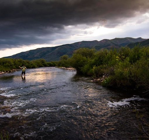 Catching Four Different Species of Trout - Near Park City, Utah