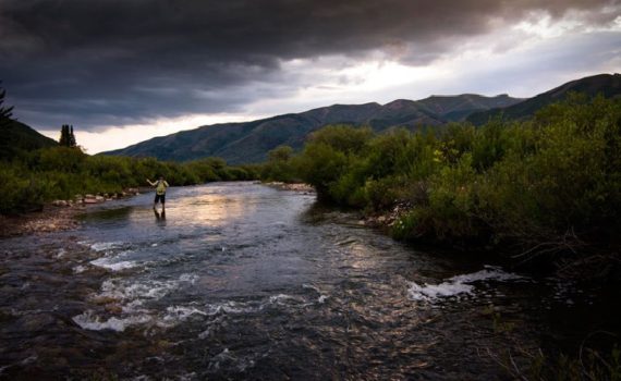 Catching Four Different Species of Trout - Near Park City, Utah