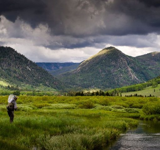 Fly Fishing Water Levels in Park City - end of August 2014