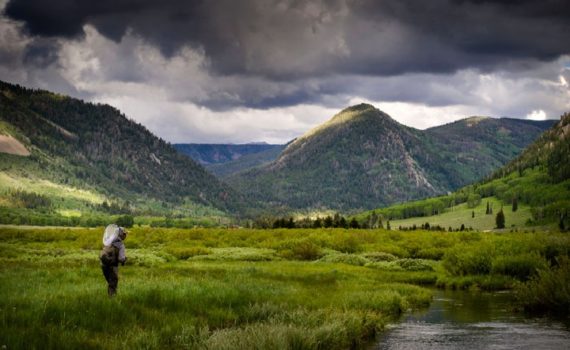 Fly Fishing Water Levels in Park City - end of August 2014