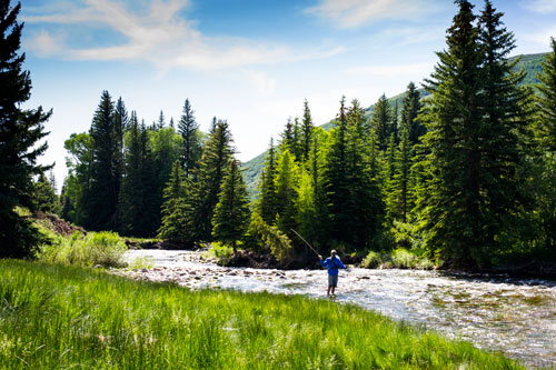 A fisherman fishes in a green forest