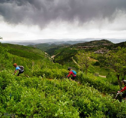 Biking Safety Tips | Advanced Safety Tips for Mountain Biking