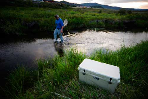Fisherman stands in river behind yeti cooloer