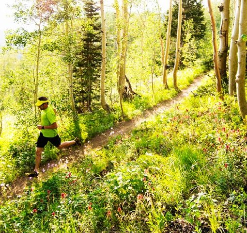 Why Stretching is Important for Trail Running