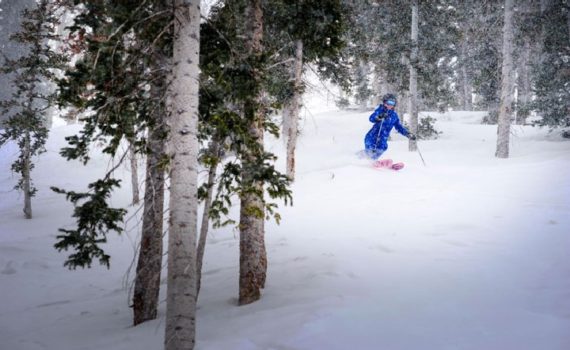 skier in all royal blue, coming down through evergreen trees while snow falls
