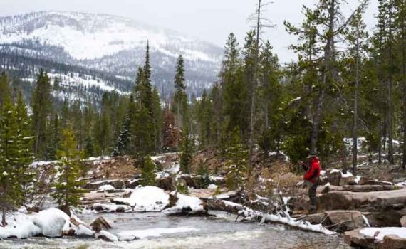 Fly Fishing the Spring Runoff in Utah