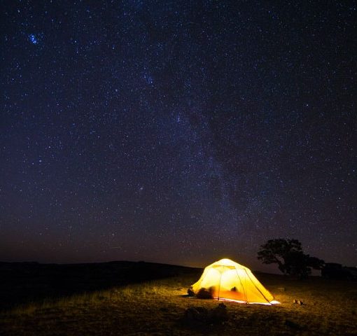 How to stay sane during mud season