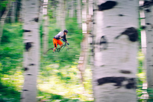 A mountain bike rider descends through aspen trees