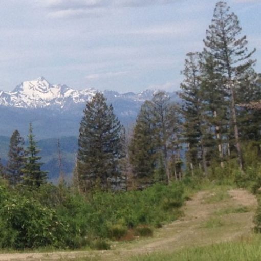 Tour Divide 2015 - Rider Reports From the Trail Part II